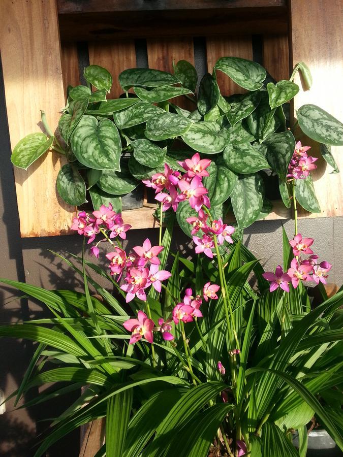 The Brown House Hotel Chachoengsao Buitenkant foto